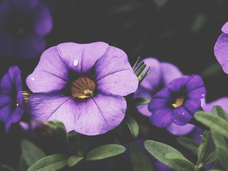 sudoku pointing pairs screenshot 2