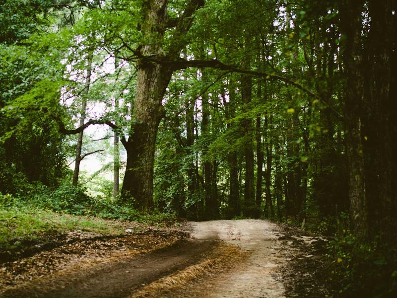 sudoku pointing pairs screenshot 1